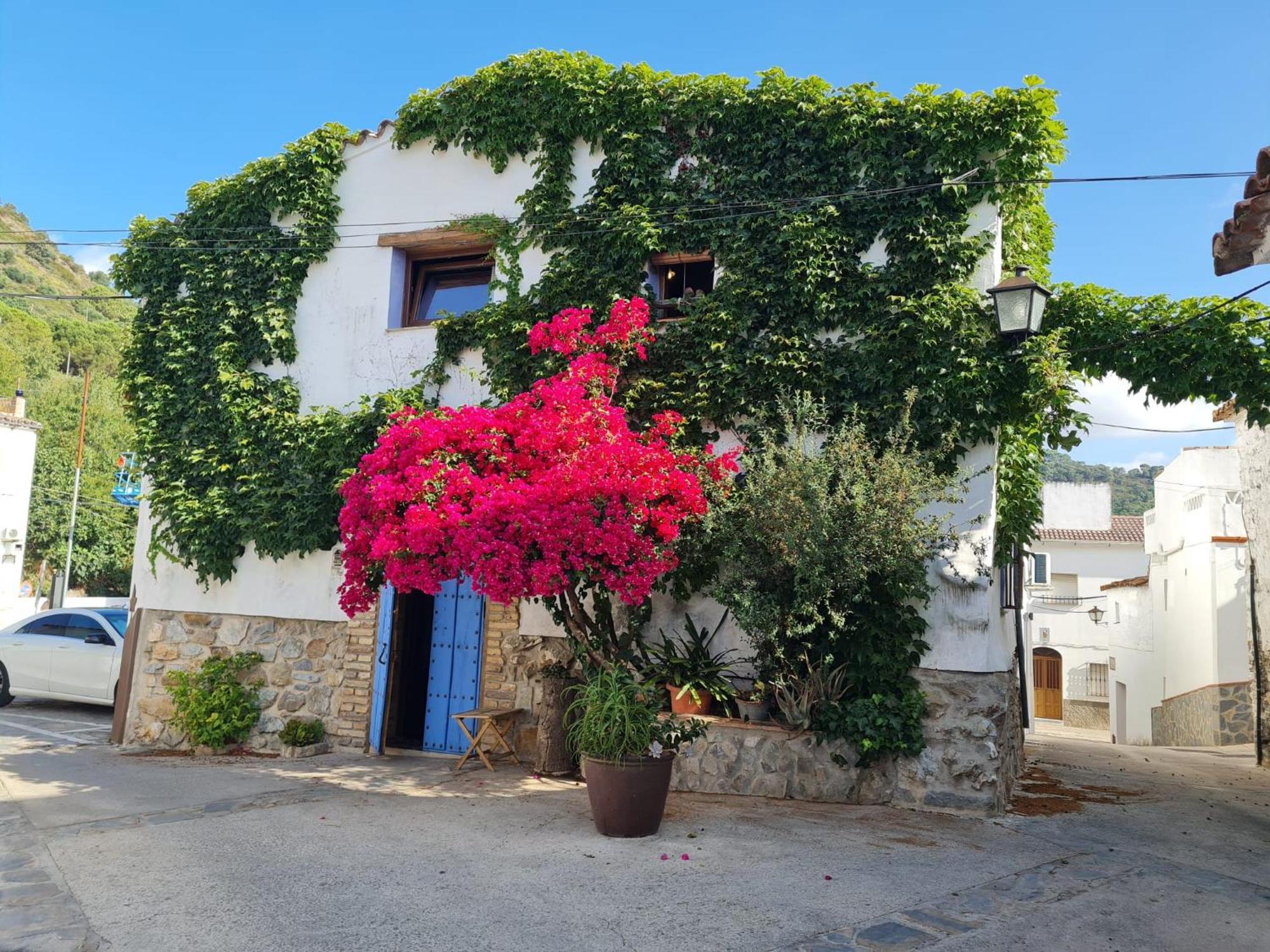 Casa La Yedra By Casaturistica Villa Benarraba Exterior photo